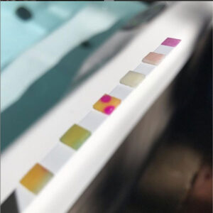 Test Strip by Absolute Water Professionals